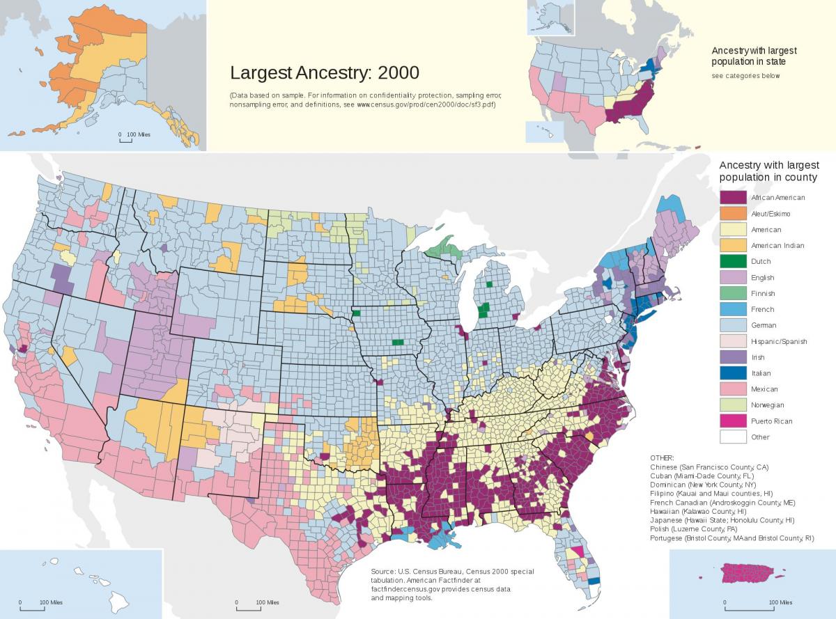 USA ethnicity map