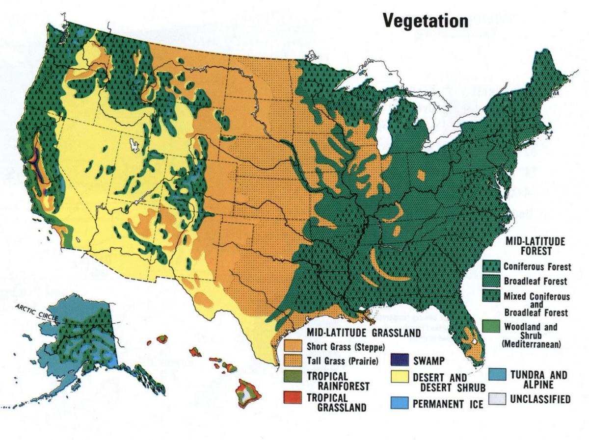 map of US forests