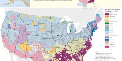 USA ethnicity map